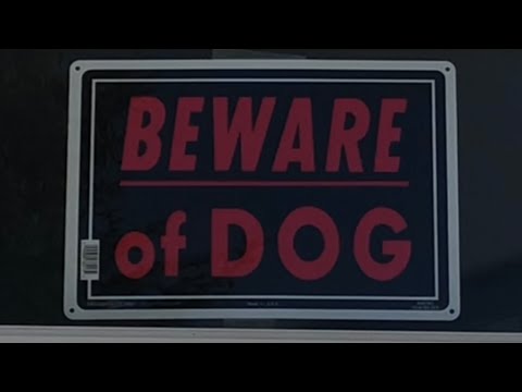 YORKIE GUARD DOGS 🛑 BEST Home Security #shorts #shortsofyoutube