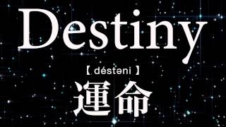 8utterfly × LEO 最新デジタルEP 大好評配信中！