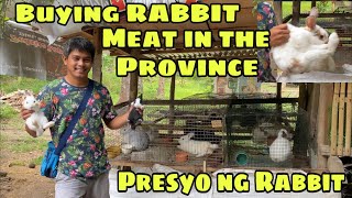 BUYING RABBIT MEAT IN THE PROVINCE | MAGKANO ANG PRESYO NG RABBIT | RABBIT MEAT FARMING