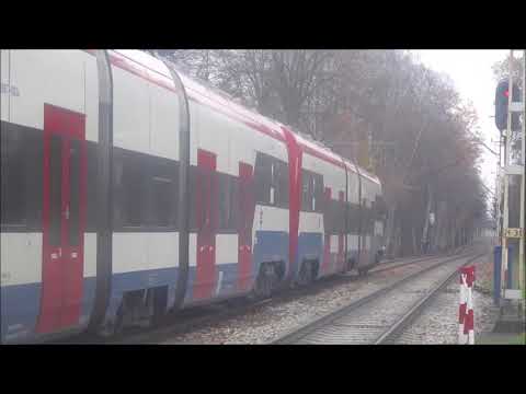 Pociągi WKD w Podkowie Leśnej Głównej