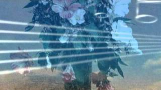 Spanish  Eyes & Plácido Domingo