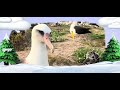 Animal Time Ep 23