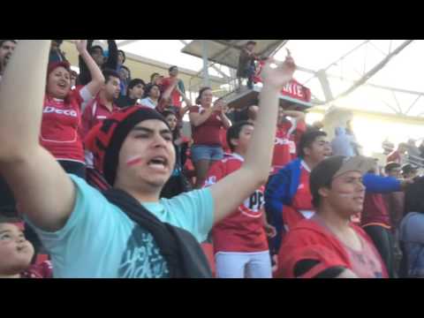 "Hinchada PAPAYERA - CDLS" Barra: Los Papayeros • Club: Deportes La Serena