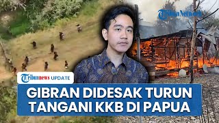 Buntut KKB Bakar Rumah Bupati di Papua Tengah, Warganet Desak Gibran Segera Turun Tangan