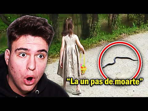 Oameni Care Au Fost La Un Pas Să Fie Mușcati De Șerpi Veninoși..