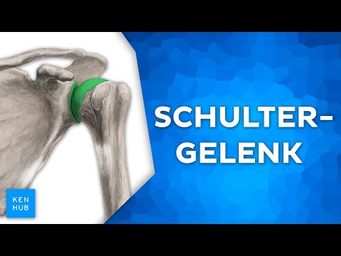 Schultergelenk: Aufbau und Funktion einfach erklärt | Kenhub