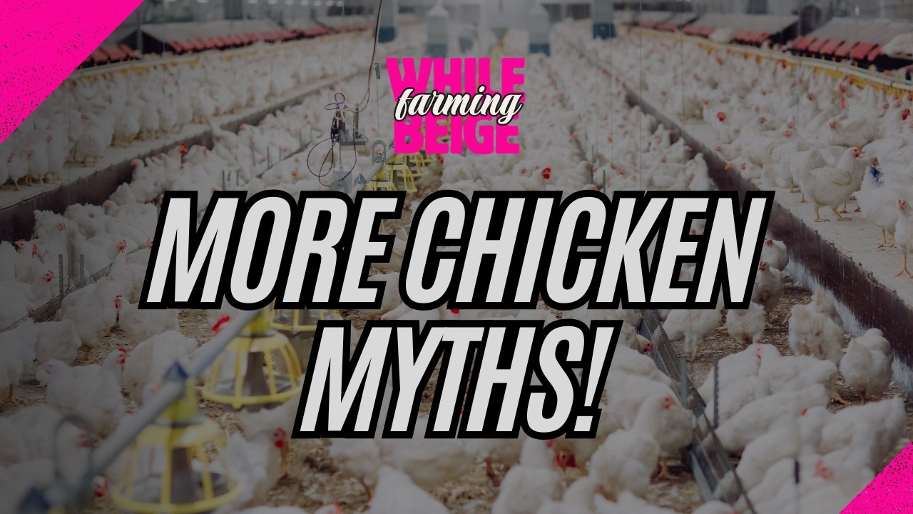 More Chicken Myths!
