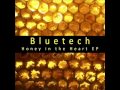 Bluetech - Honey in the Heart (Original Mix)
