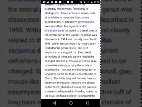 Urdu Dictionary & Translator - Video