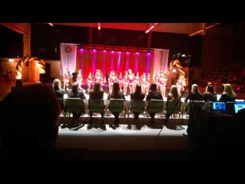 Dynamite Diamonds DM 2016