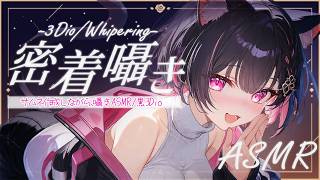 【黒3Dio/ASMR】耳元密着で温かい🔸こつこつASMRサムネ作成で癒しの時間【Vtuber/雑談/3Dio】