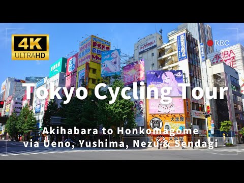 【4K】Tokyo Cycling Tour | Akihabara to Honkomagome via Ueno, Yushima, Nezu & Sendagi | POV
