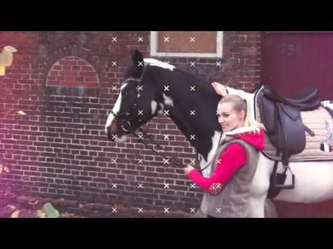 Eskadron Classic Sports Herbst Winter 2016