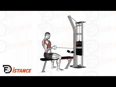 Exercice Rowing assis unilatéral à la poulie basse