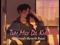 Tum Mily Dil Khily Slowed Reverb Song Anoop Sankar Ramu Raj New Version Slowed Reverb Bass