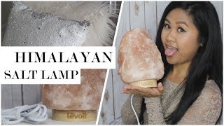 Himalayan Salt Lamp Benefits and Unboxing | Home Decor Haul