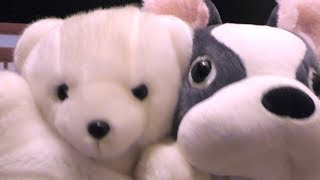 またこんど