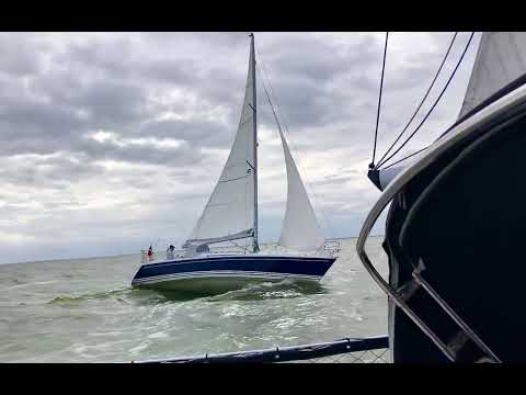 Winner 950 - Segeln auf dem Ijsselmeer