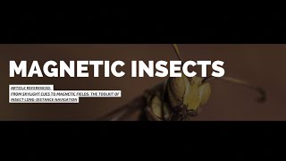 Signs in the Sky, Stellar Fly-By, Coronal Hole | S0 News Dec.14.2025