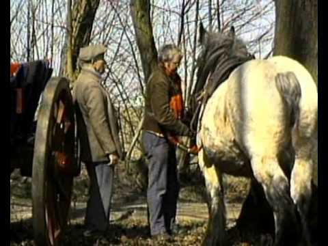 download lagu mp3 mp4 Adriaansen, download lagu Adriaansen gratis, unduh video klip Adriaansen