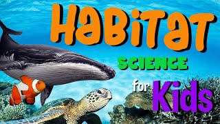 Habitat | Science for Kids