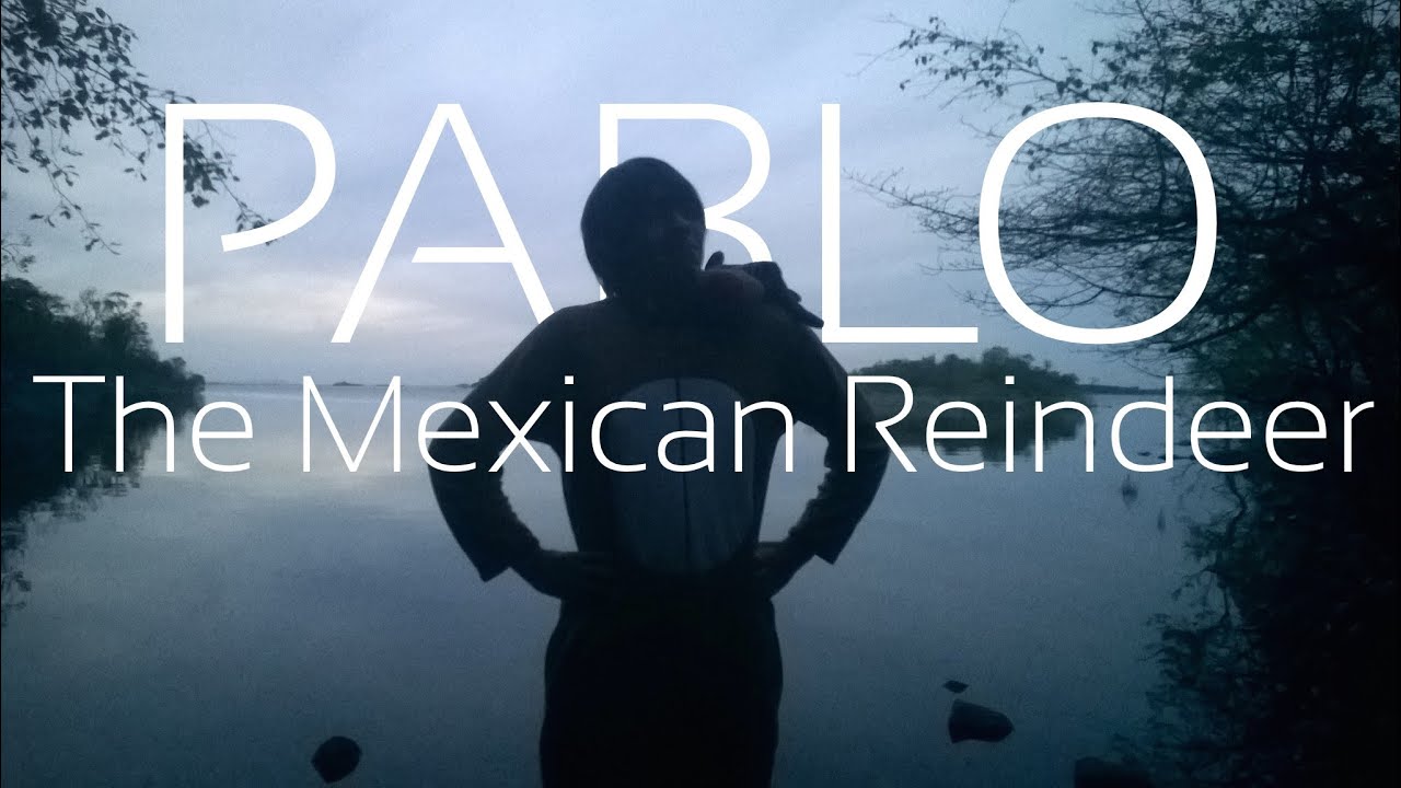 Pablo The Mexican Reindeer