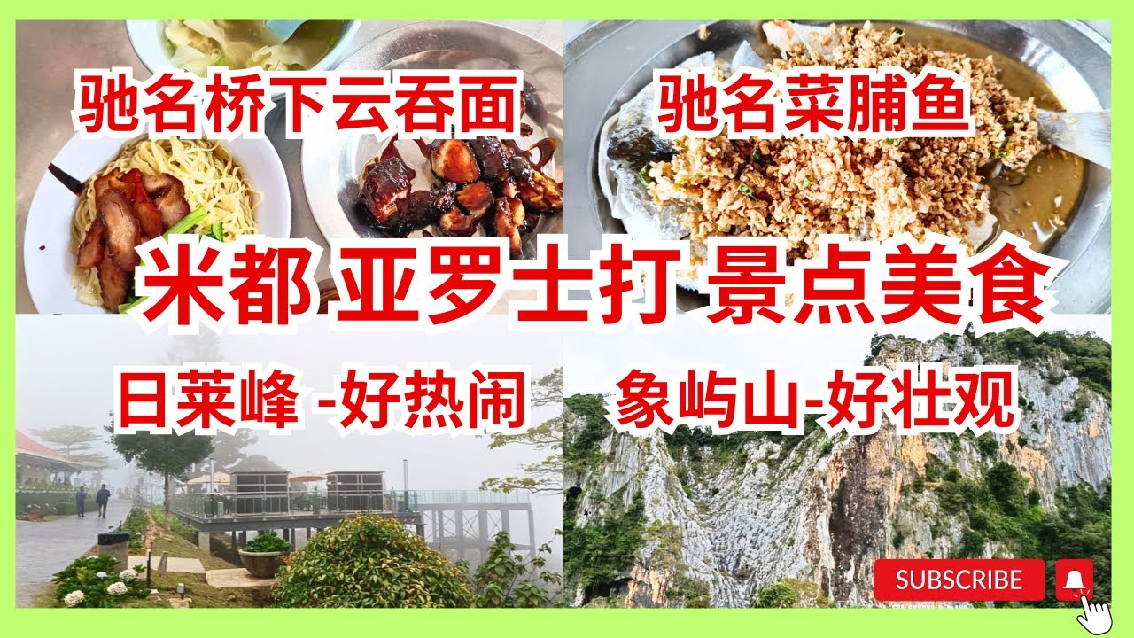 【带你游走亚罗士打打卡景点 日莱峰好热闹 象屿山很壮观 必吃美食】Alor Setar旅游景点推荐驰名天桥底下云吞面弹牙嚼劲配叉烧一流 甜咸超脆的菜脯鱼，不容错过！