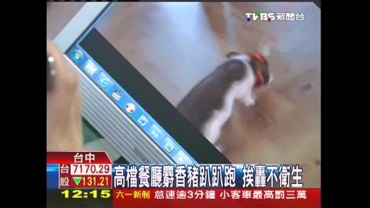 高檔餐廳麝香豬趴趴跑 挨轟不衛生