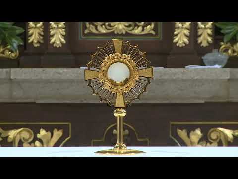 Uskrsni ponedjeljak 13.04.2020. (misa uživo)