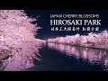 弘前公園 日本一の絶景桜名所 8K Beautiful Cherry Blossoms in Hirosaki Park Japan | 東北の風景 弘前城