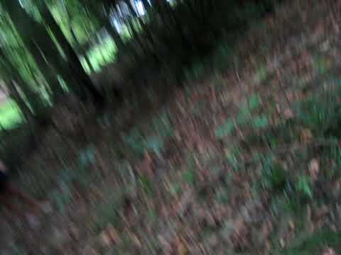 Wild Man In The Woods!!!!