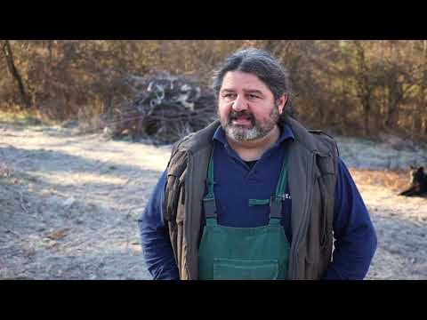 Autohtone vrste Srbije ep. 45 - 02.01.2020. - Pastirski psi