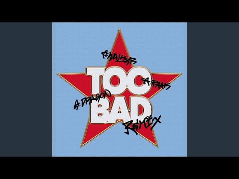 TOO BAD – Alan Walker Remix