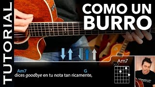Cómo tocar El Último de la Fila - Como Un Burro Amarrado acordes guitarra  guitarraviva