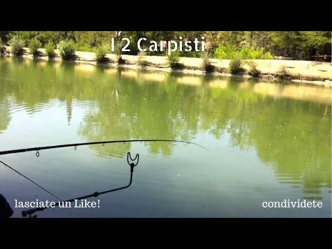 TAVOLESE - I2Carpisti