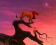 Lion King 2 We Are One Polish