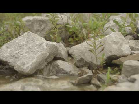 Traverse the Thames Highlight Video #5 - The Rain and the River