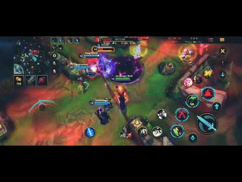 WARWICK TOP MONTAGE /WILD RIFT FR