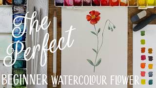 Stop Struggling with Florals! Try This Simple Rock Rose