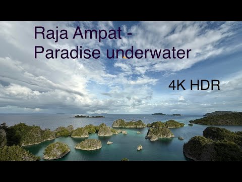 Raja Ampat Paradise underwater 4K  HDR
