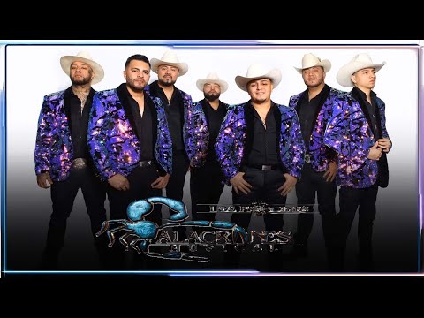 Alacranes Musical -Duranguense Mix -10 Exitos De Oro