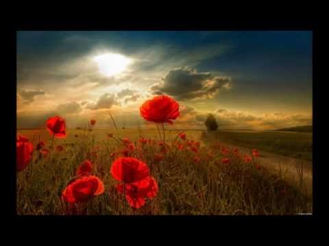 Thumbnail for Psalm 63 video