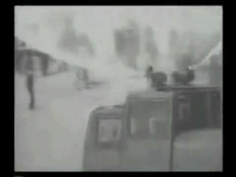 Teleranek 13 grudnia 1981