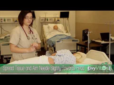 Intramuscular Site: Ventral Gluteal ~ivyVILOs~(Ivy Tech Community College, School of Nursing)