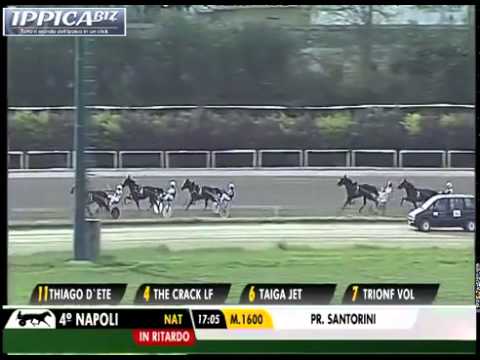 Ippica Biz   NapoliITA   Premio Santorini