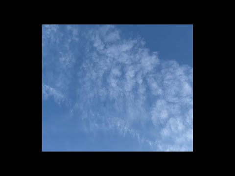 허보라, 최연우