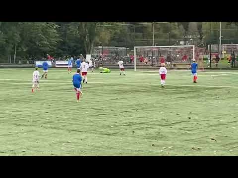 Saestum-Valleivogels