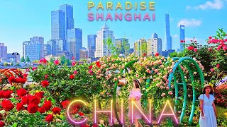 ShangHai Summer – don’t miss it !