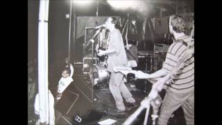 Mad Dog Loose: Sitting in the backyard