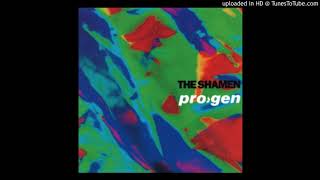 The Shamen - Lightspan (Ben Chapman Mix)